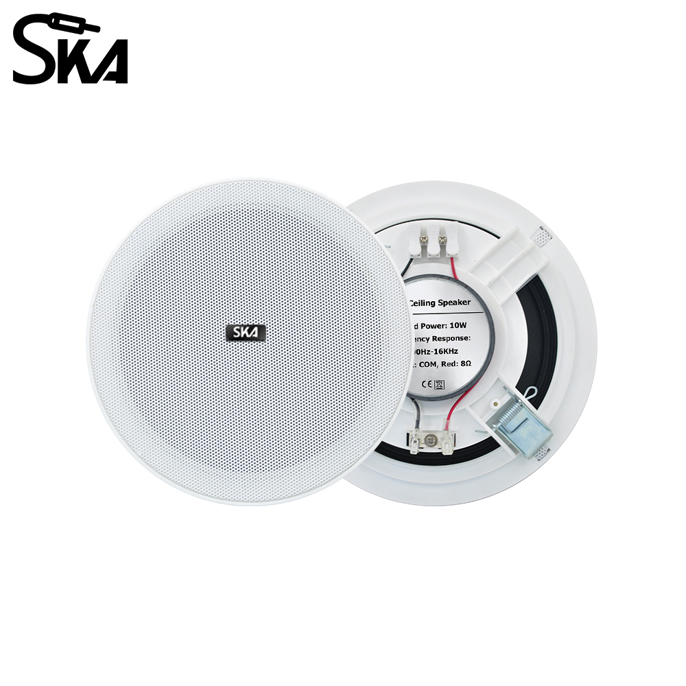 Audio Music Store - Głośnik paszportowy 6,5 cala, 20W, 8Ω,