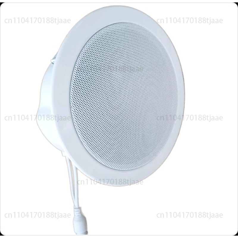 Głośnik sieciowy IP, audio suf – Audio Music Store recenzja i cena